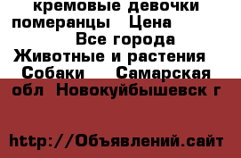 кремовые девочки померанцы › Цена ­ 30 000 - Все города Животные и растения » Собаки   . Самарская обл.,Новокуйбышевск г.